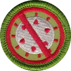 Socializing Merit Badge